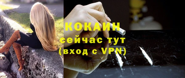 винт Абаза