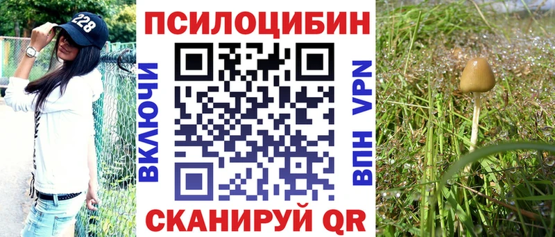 это официальный сайт Фокино Псилоцибиновые грибы Psilocybine cubensis купить закладку
